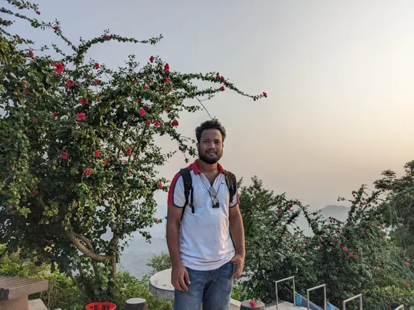 An evening viewpoint framed by flowers.