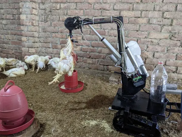 Earlier poultry-robot prototype with a manipulator in a poultry shed.