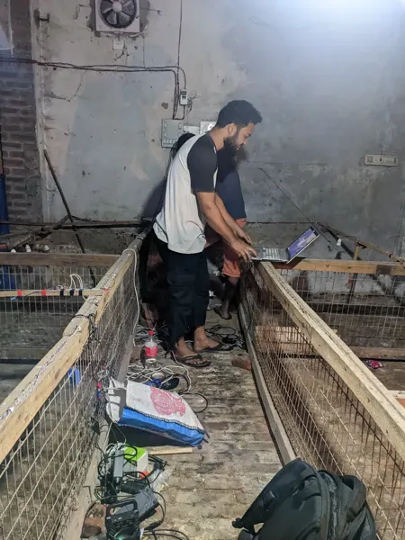 Preparing a poultry-shed installation and experimental setup.